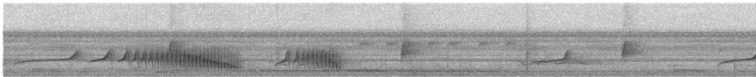 Blaugrau-Ameisenvogel - ML388302131