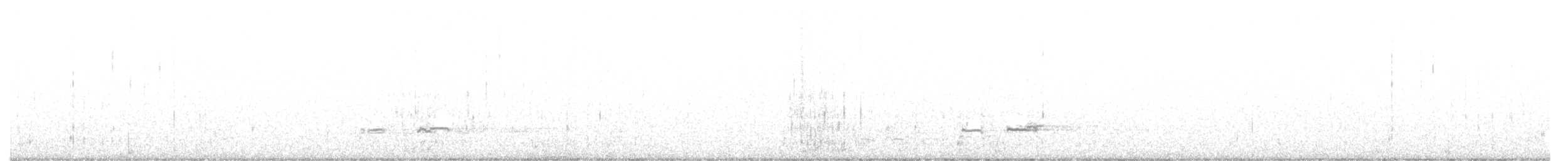 Western Grebe - ML388461231