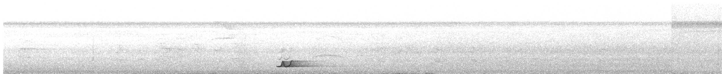 Tinamou à calotte noire - ML388474721