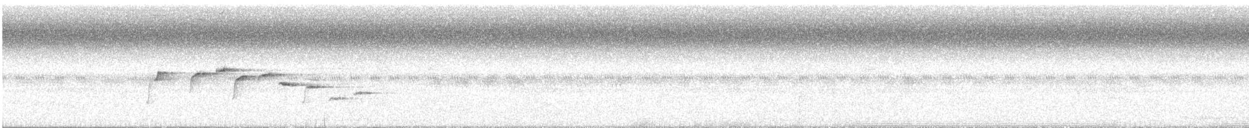 Supertramp Fantail - ML388475721