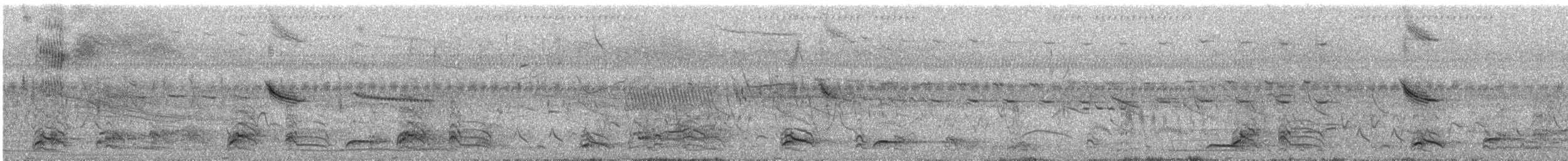 Giant Wood-Rail - ML388484351