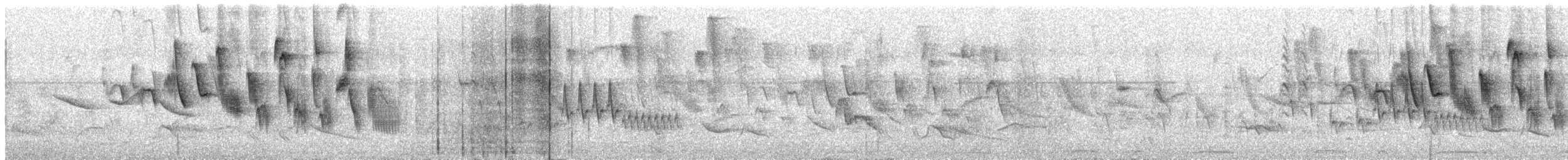 Double-collared Seedeater - ML388503141