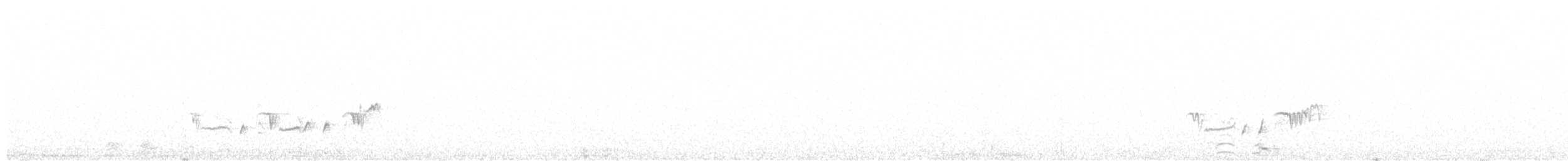 White-crowned Wheatear - ML388507891