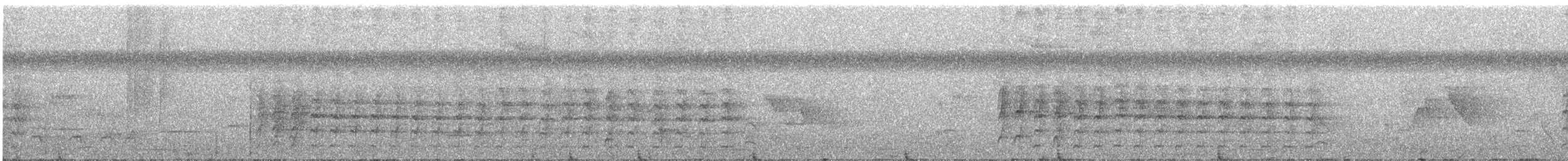 Amakuro Yumuşakkuyruğu - ML388538521