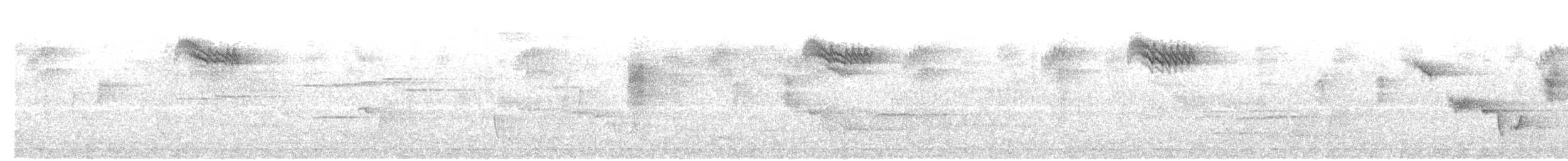 Russet-tailed Thrush - ML388727951