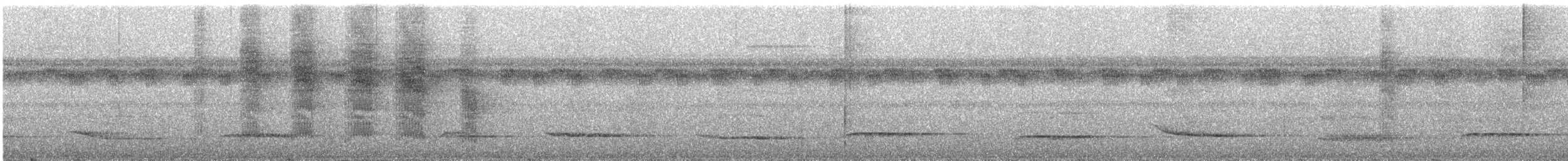 Schwarzschnabel-Pipratyrann - ML388736881