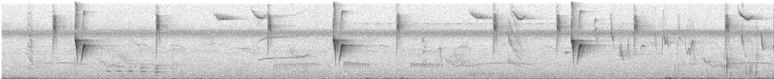 Painted Tody-Flycatcher - ML388745481