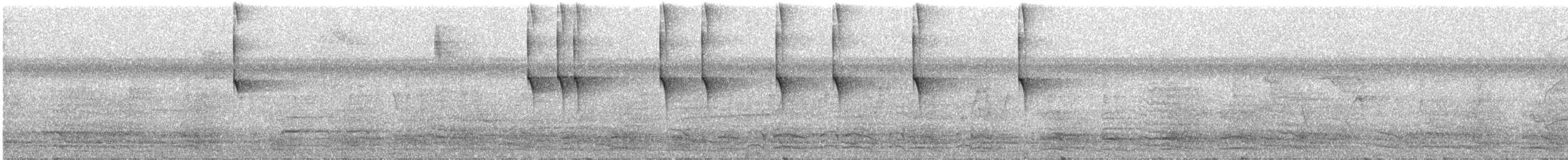 Painted Tody-Flycatcher - ML388745561