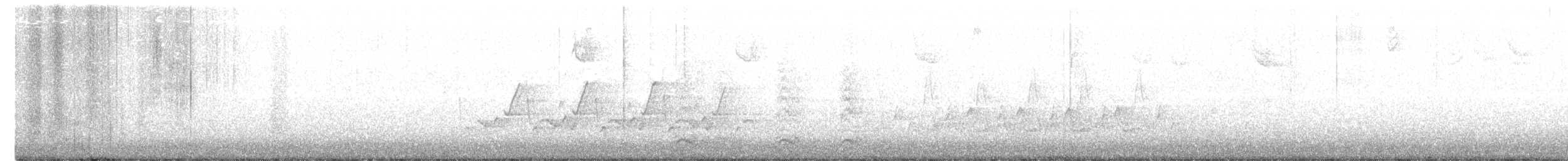 Поплітник каролінський - ML388751741
