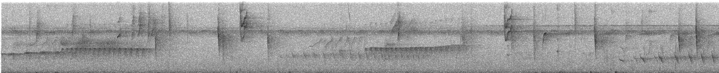 Spot-tailed Antwren - ML388775561