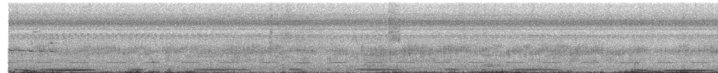 White-tipped Dove - ML388827991