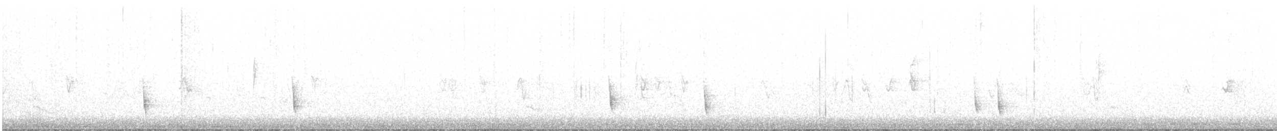 Дрозд-отшельник - ML388882991
