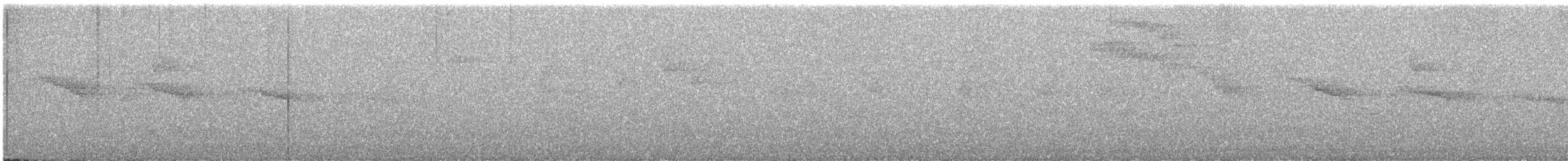 Светлогорлый тенелюб - ML388891251