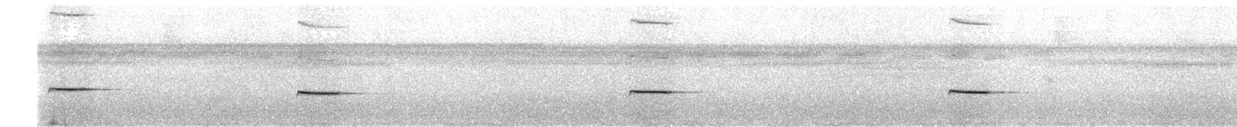 Troglodyte siffleur - ML388940091