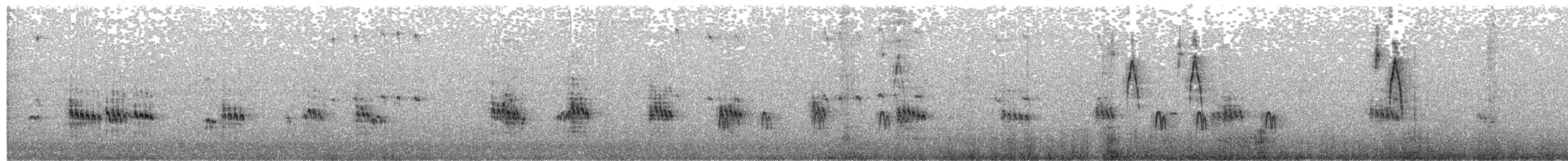 jespák dlouhokřídlý - ML388958221