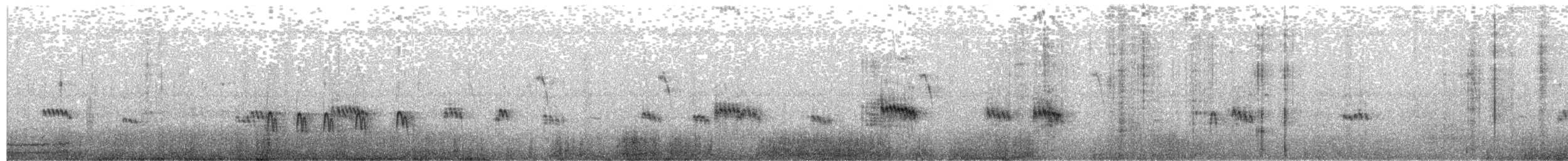 jespák dlouhokřídlý - ML388958231