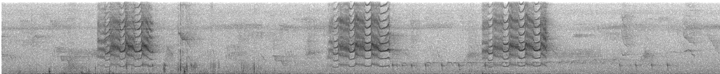 Bienteveo Pitanguá - ML388961971