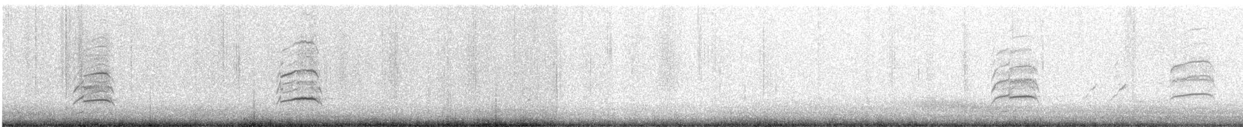 Белохвостая агуйя - ML388963001