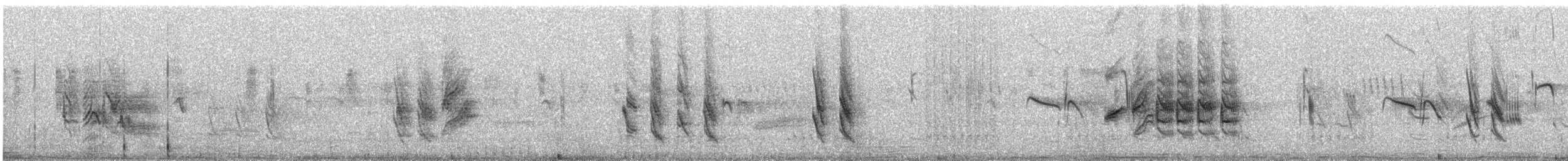 Бор цэгцүүхэй - ML388967891