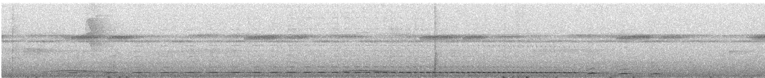 Streifenbrust-Ameisendrossel - ML388976621