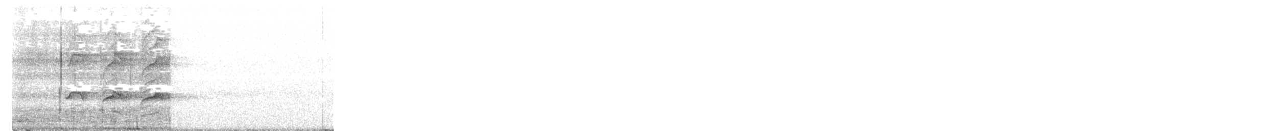 Rufous Woodpecker - ML388986851