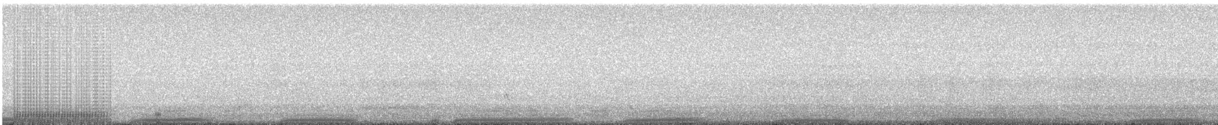 Peru-Lummensturmvogel - ML38900271
