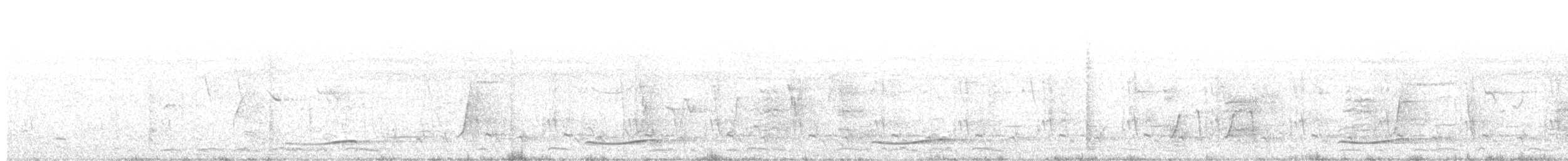 Тихоокеанский коэль (cyanocephalus/subcyanocephalus) - ML389089421