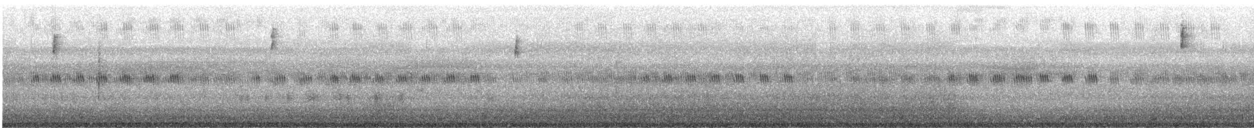 Сондуу хөмрөг - ML389148621