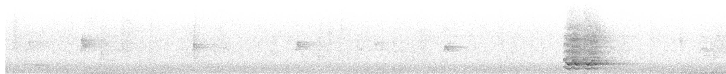 Kara Kasapkuşu - ML389150161
