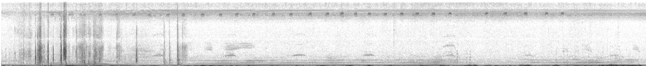פורפיריה אפורת-ראש - ML38915571