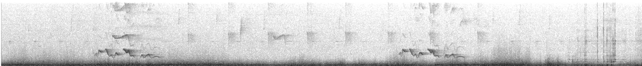 Rostbrauenvireo - ML389168951