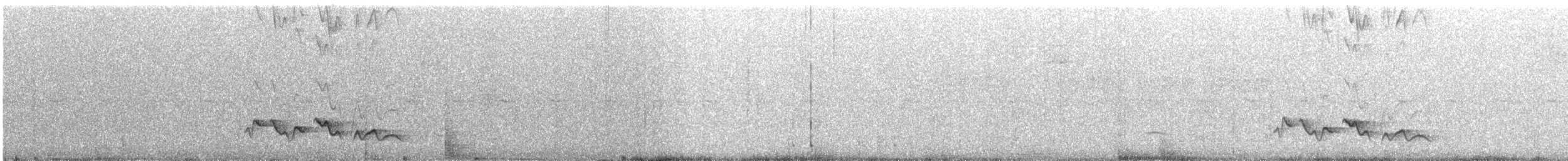 Rostbrauenvireo - ML389168961