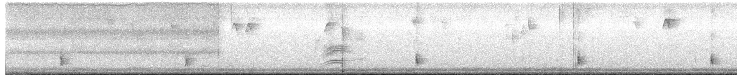 Дрізд-короткодзьоб плямистоволий - ML389207831
