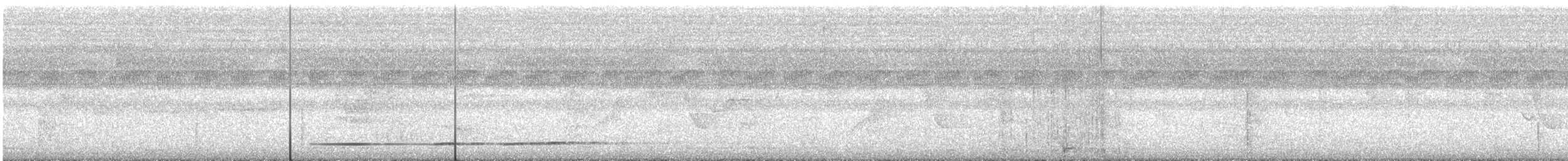 Undulated Tinamou - ML389231491