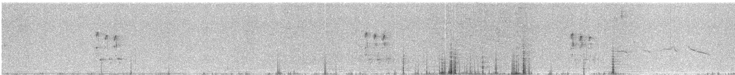 Great Gray Shrike (Arabian) - ML389239831