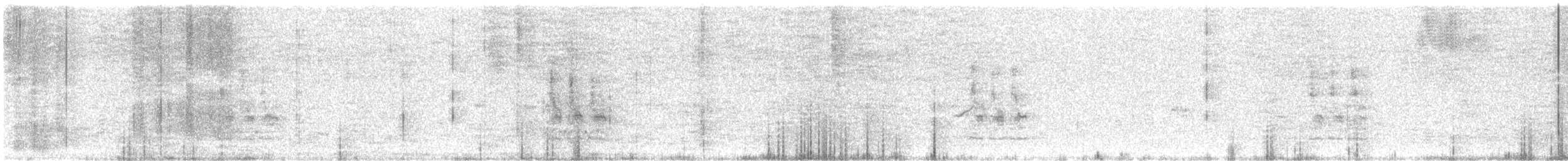 Great Gray Shrike (Arabian) - ML389239861
