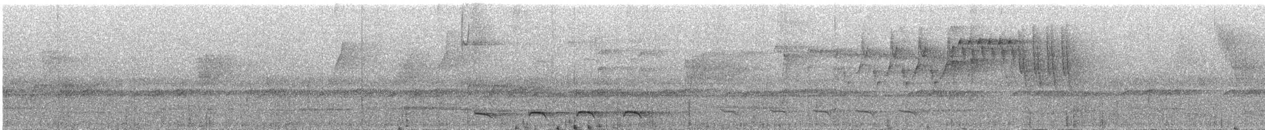 Ошейниковый трогон - ML389248381