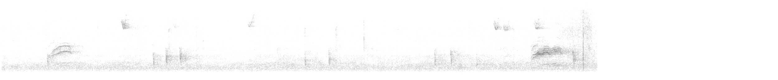 Hermit Thrush - ML389343061
