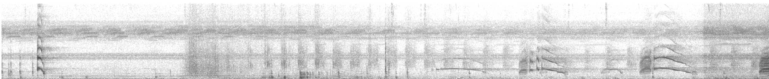 Limpkin - ML389389141