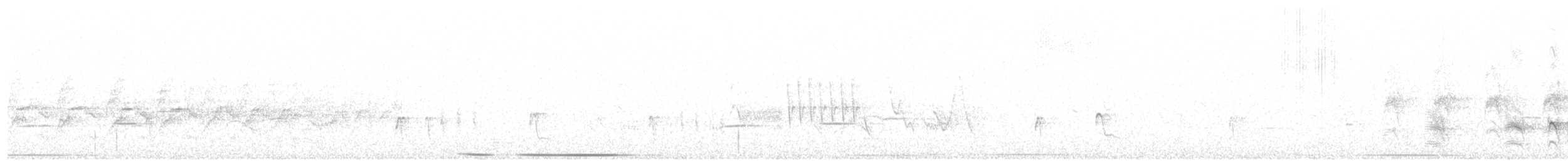Brushland Tinamou - ML389438851