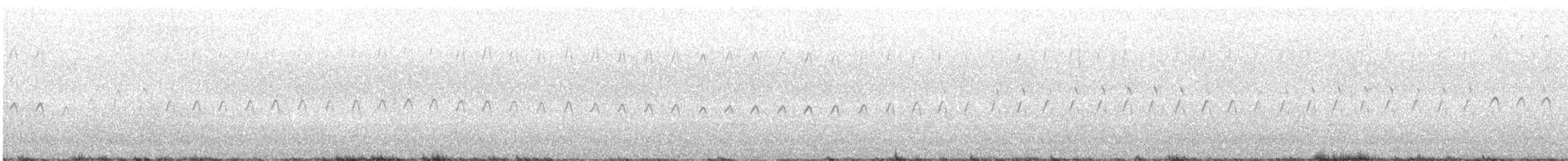 hårspett - ML389510751