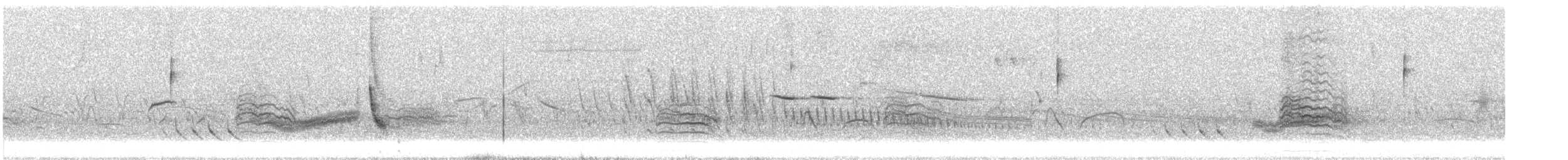 クビワコガモ - ML389515161