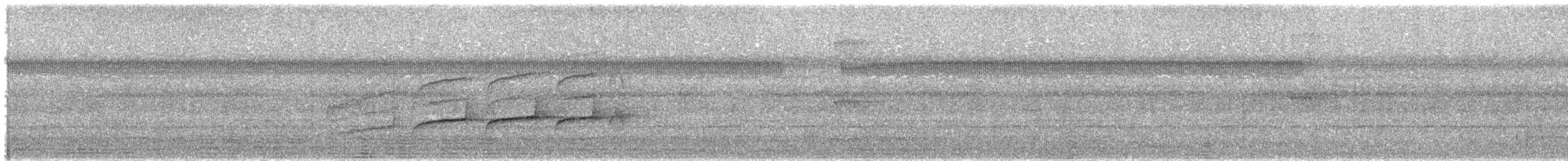 Пласкодзьоб західний - ML389561771