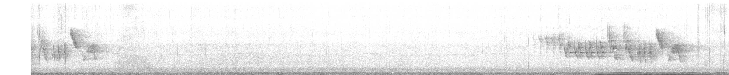 Txonta arrunta - ML389583801
