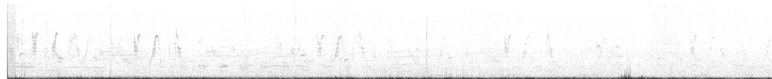Патагонский конёк - ML389587251
