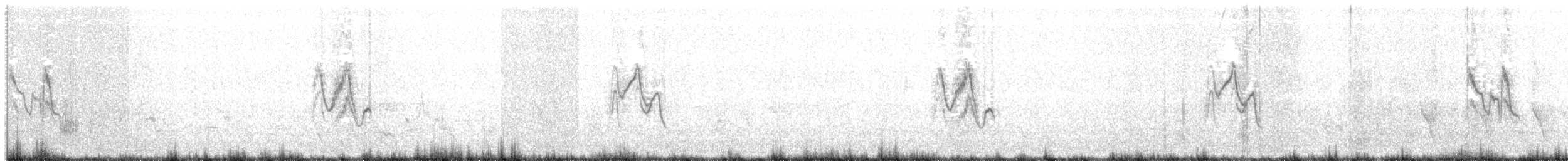 Белая трясогузка (leucopsis) - ML38961151