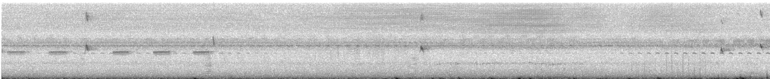 Scissor-tailed Nightjar - ML389682901