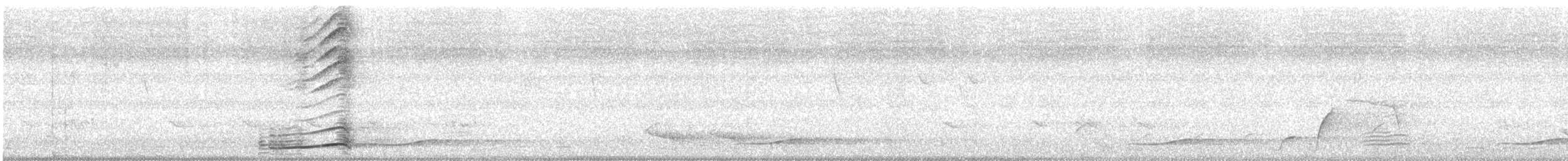Pazifikkoel (cyanocephalus/subcyanocephalus) - ML389689051