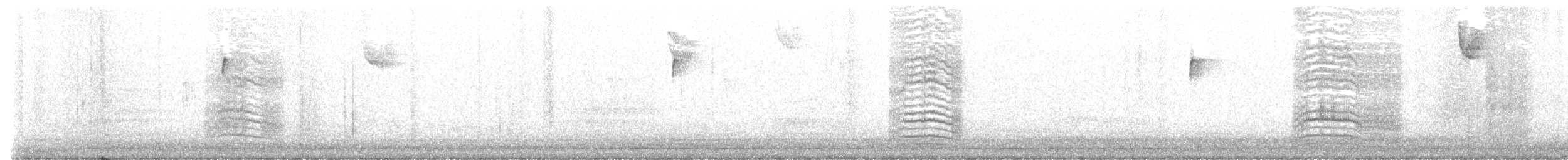 Пересмішник сірий - ML389739151