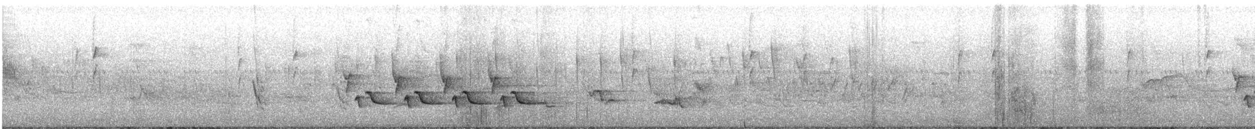 Carolina Wren - ML389769891
